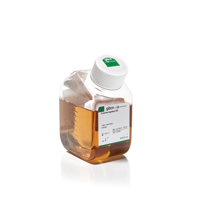 Fetal Bovine Serum(FBS)