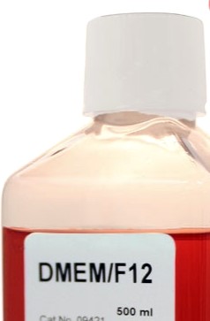 DMEM F12