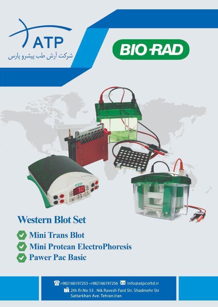تانک وسترن بلات مدل Mini trans blot  