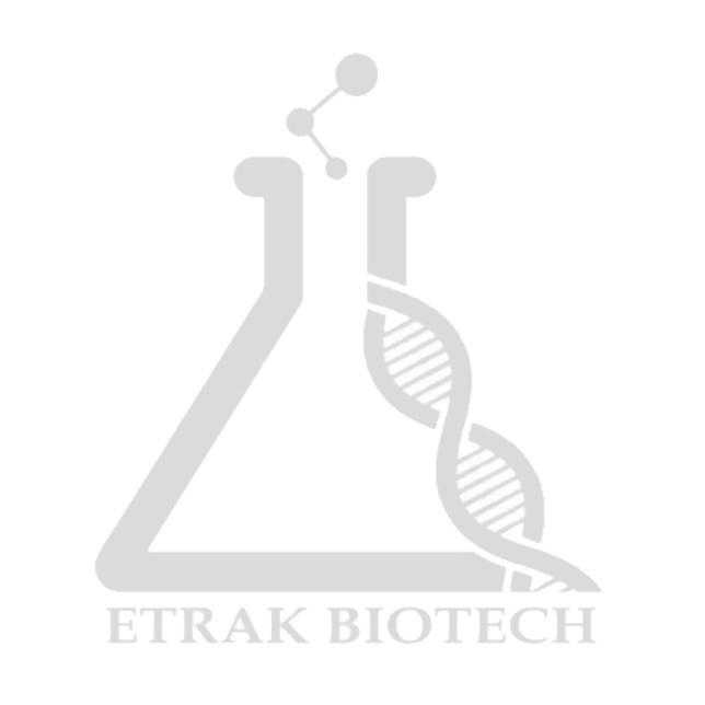 سرم جنین گاوی KPG 