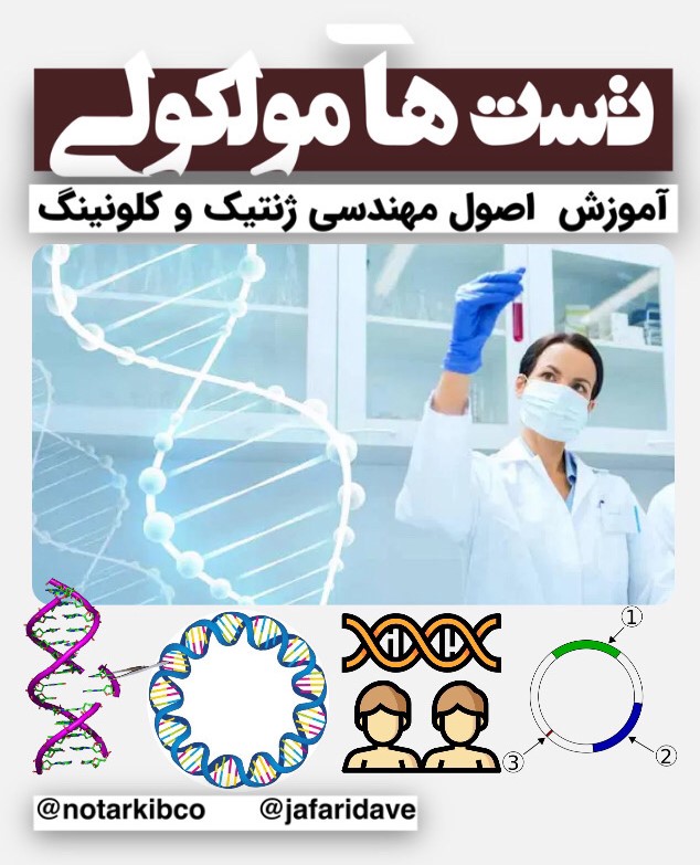 کاملترین دوره آموزشی تست های مولکولی 