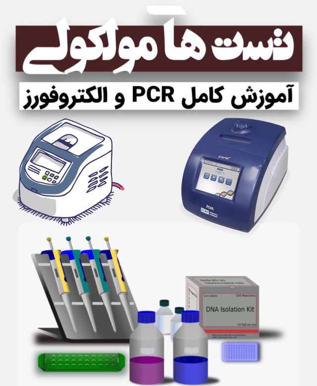 کاملترین دوره آموزشی تست های مولکولی 