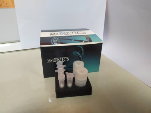 کیت استخراج RNA به روش ستونی
